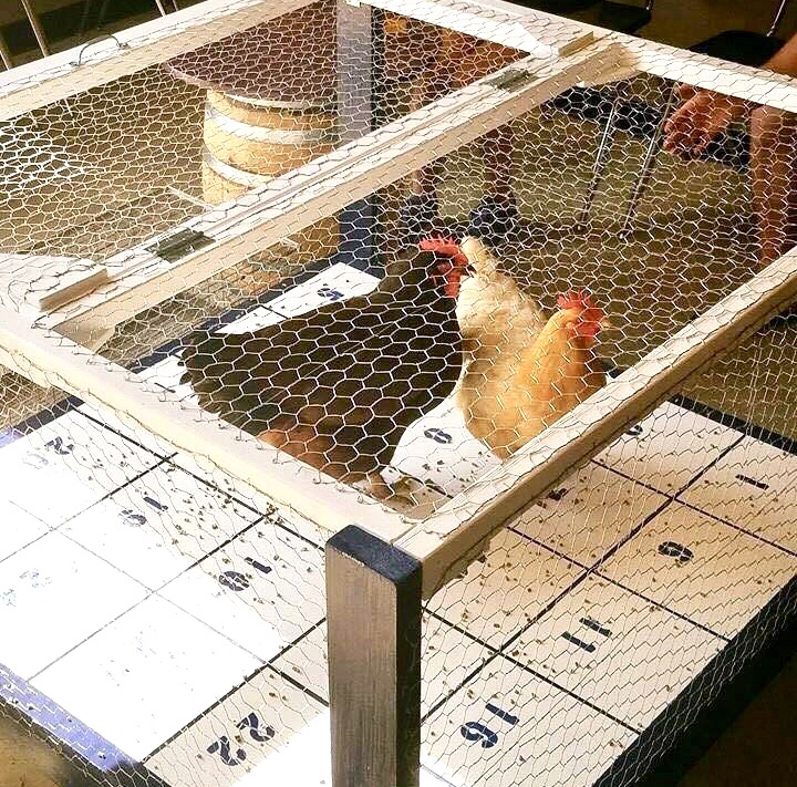 Chicken Sh** Bingo